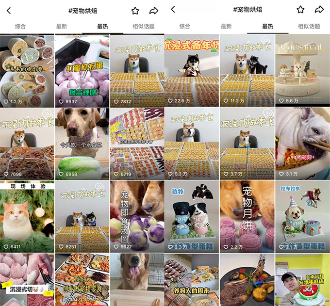 一件狗衣卖899，阿迪耐克抢滩宠物赛道，所有母婴生意都要用宠物重做一遍