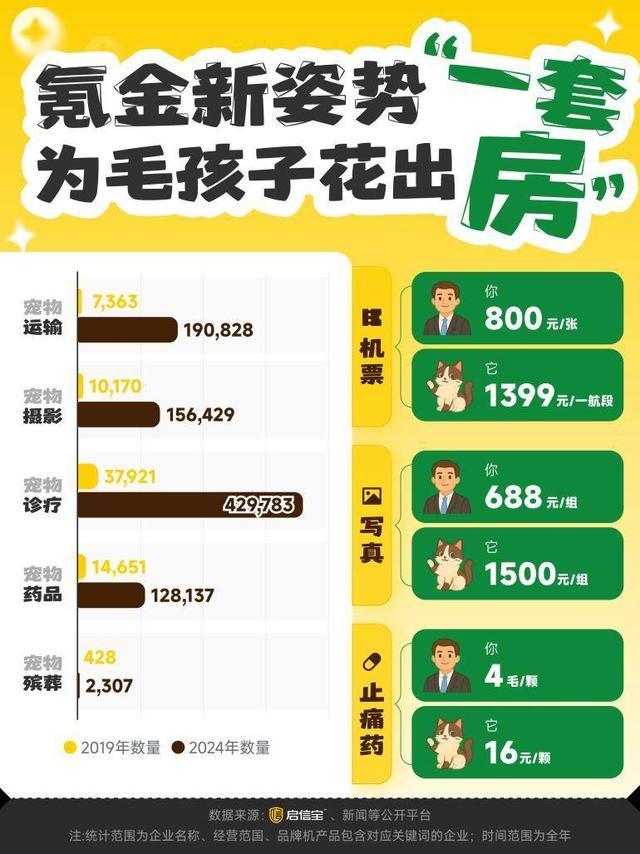 宠物行业报告：宠物摄影成“氪金”新赛道