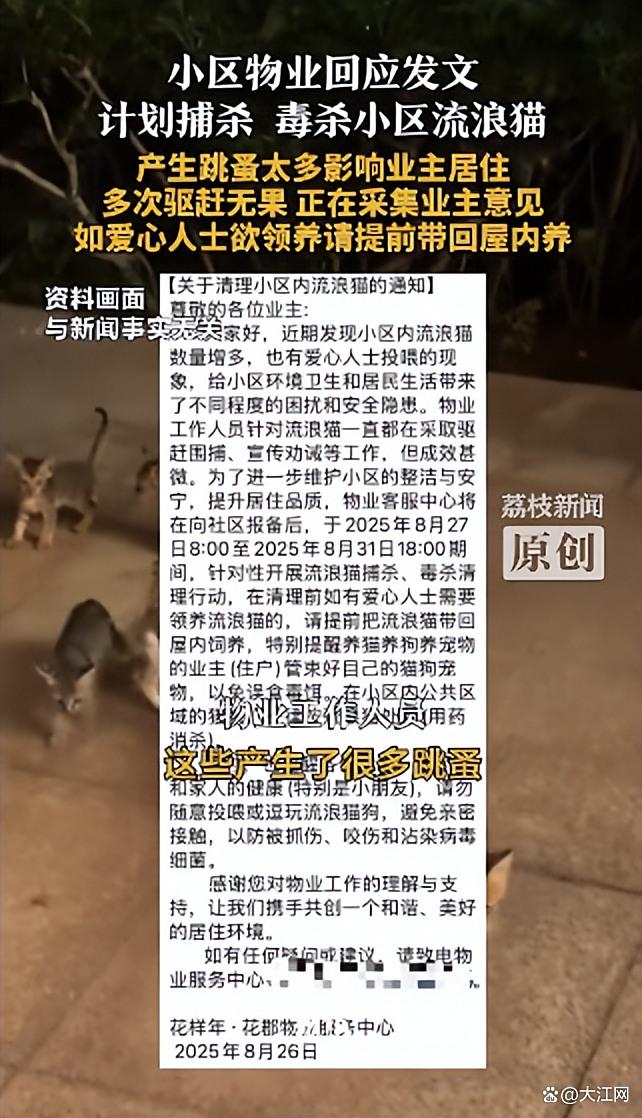 四川一小区发文将扑杀流浪猫，工作人员回应