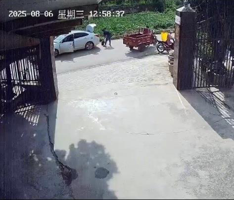 养了三十多年的鳄龟被过路司机抱走，主人恳求“不要杀它”，警方介入