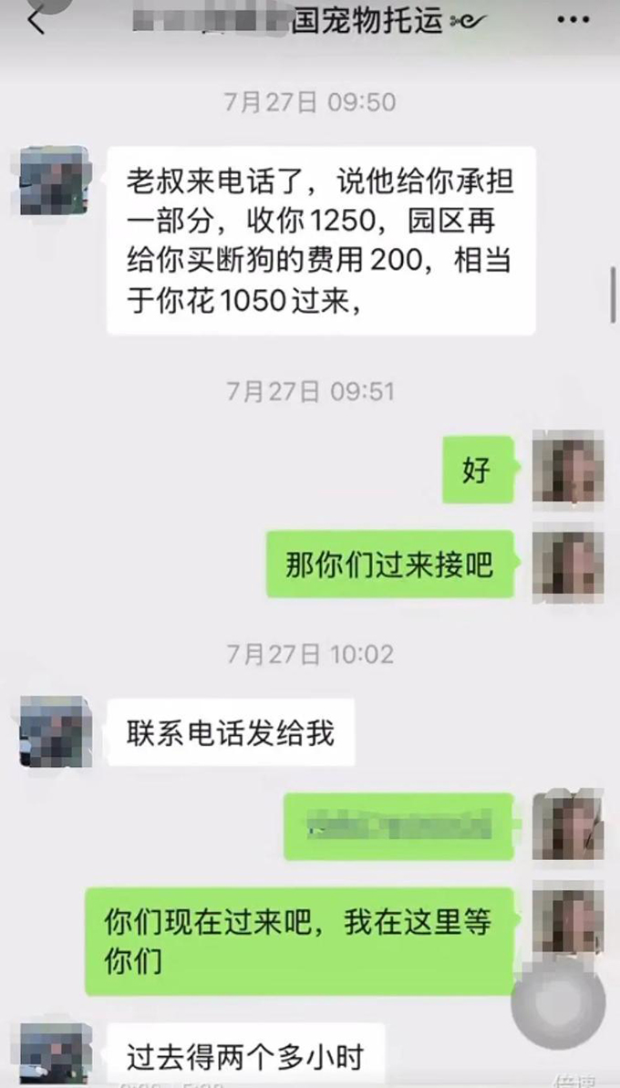 网红潘宏再涉宠物狗死亡风波，狗主人发帖遭网暴