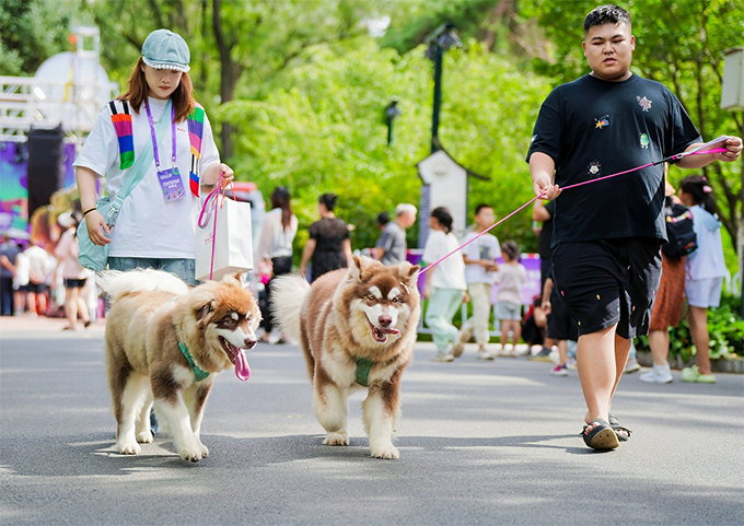 2025吉林市公园主题宠物博览会开幕