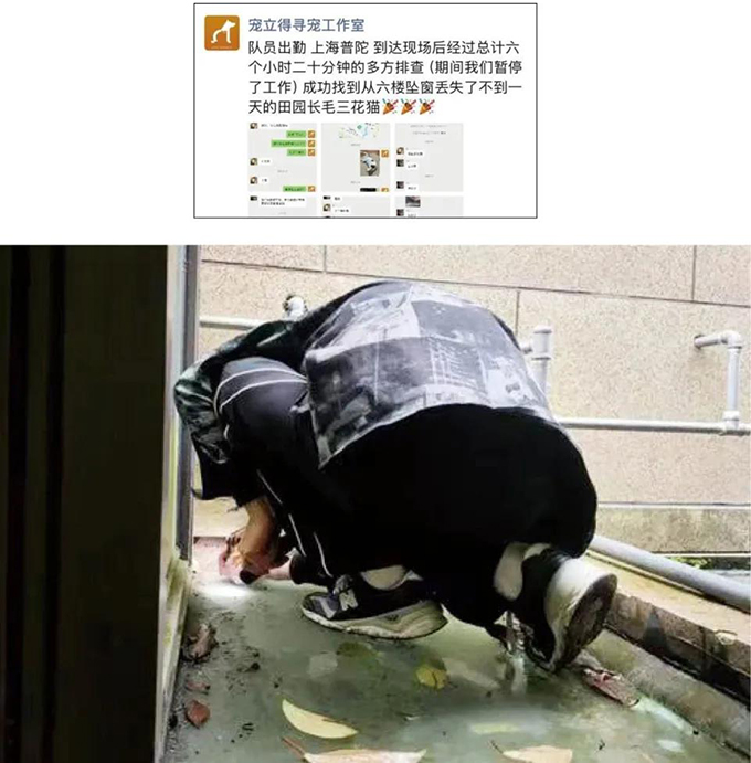 为宠物花钱，竟有这么多新花样！