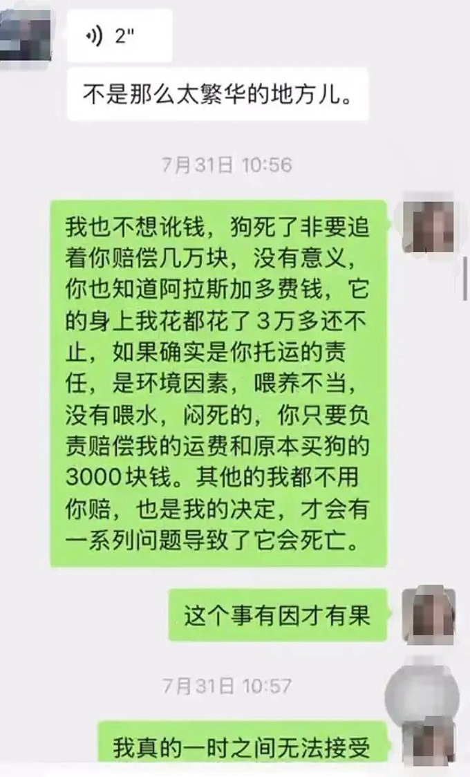 网红潘宏再涉宠物狗死亡风波，狗主人发帖遭网暴