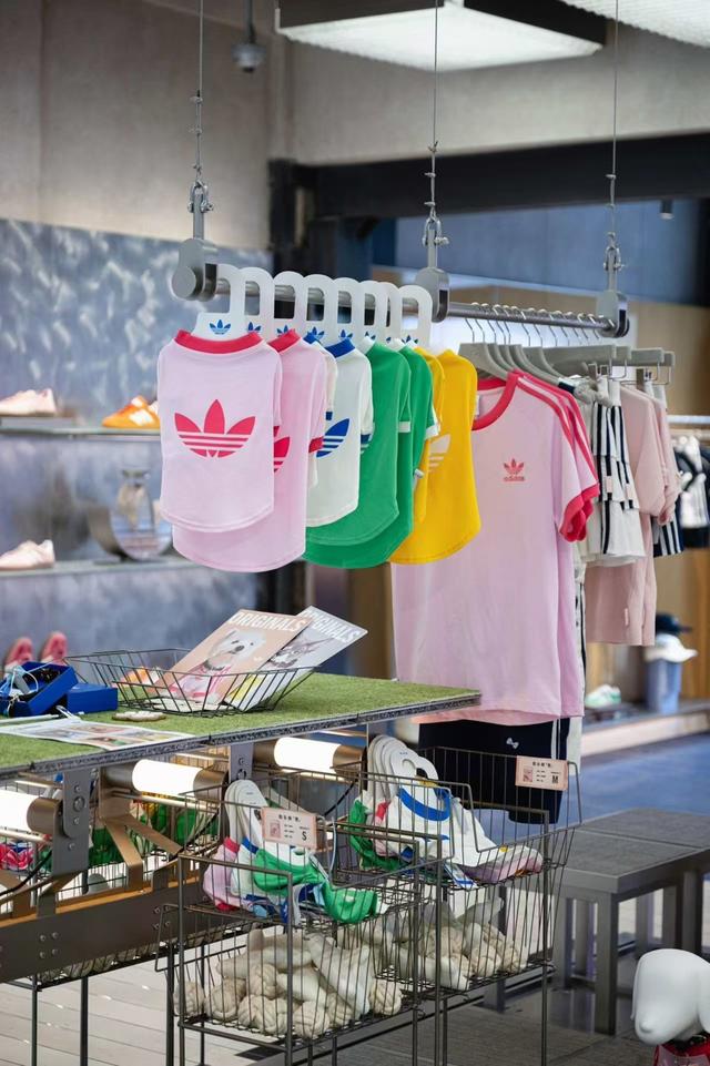 亚洲宠物展刷新纪录，全球首发、首店层出不穷，上海“它经济”进入爆发期