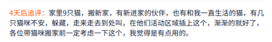 宠物消费新趋势：萌宠专属动画，毛孩子也有追剧的快乐