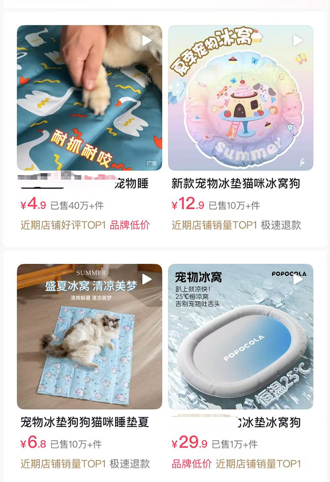 冰垫、防晒衣与剃毛争议：高温大考下，一场宠物经济与科学养宠的博弈
