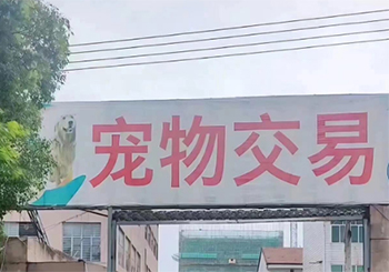 安徽宿州推动宠物经济产业发展：打造区域性宠物交易中心