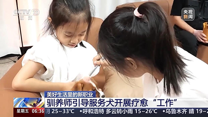 宠物服务招聘增速超72%，年轻人纷纷加入这一新兴行业