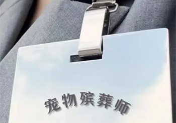 九五后“宠物殡葬师”：从近八千只宠物中读懂生命教育