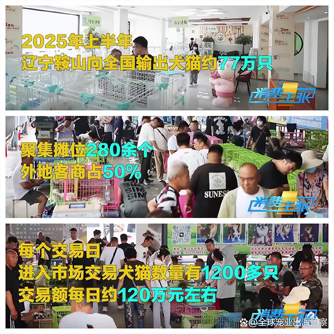 央视谈宠物经济爆发，12个宠物新赛道崛起