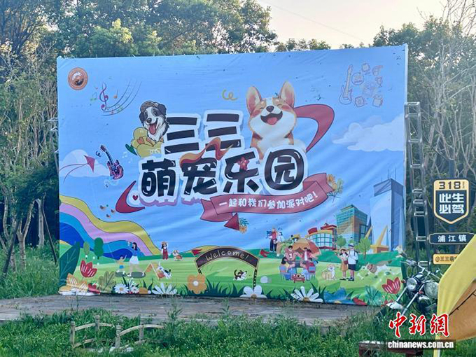 为什么宠物正在成为当代人的“生活搭子”？
