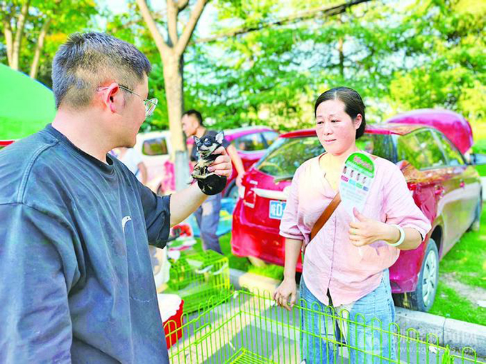 16小时交易1.6万只，华东第一宠物大市场是怎样炼成的