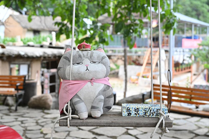 ​​“人搬走了，猫怎么办？” 他给200只猫“建”了座村