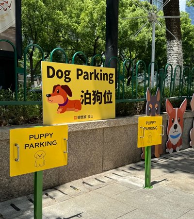 看“小可爱”怎样带火“宠物经济”？