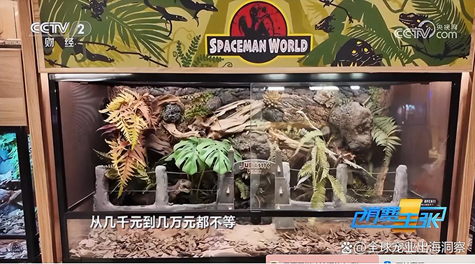 央视谈宠物经济爆发，12个宠物新赛道崛起
