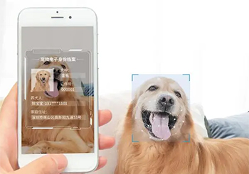 AI驱动宠物产业生态新变革：上市公司争“宠”忙