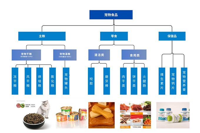 “毛孩子”重塑中国消费版图：宠物经济为何正当时？