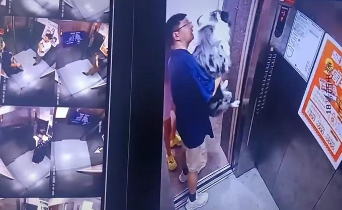 牧羊犬独自蹿进电梯，遛狗绳夹门缝被吊在半空
