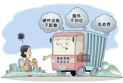 携宠出行的甜蜜与烦恼：“宠在囧途”时有发生