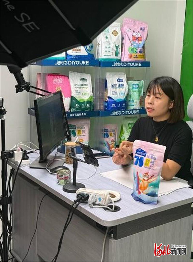 “电商+”发力带火“宠物食堂”：线上销售占比超七成
