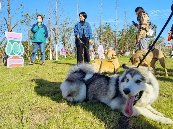 美团联合亚宠展开启“宠物友好月”，打造一站式“它经济”服务！