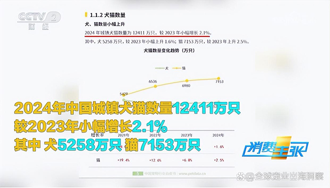 央视谈宠物经济爆发，12个宠物新赛道崛起