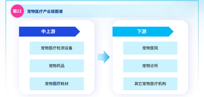 宠物医疗行业洞察：机遇与挑战并存