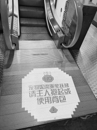 宠物友好公约：“宠物友好”如何让人宠两安