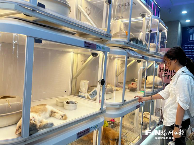 宠物消费水太深，福建省消委会教你如何避坑