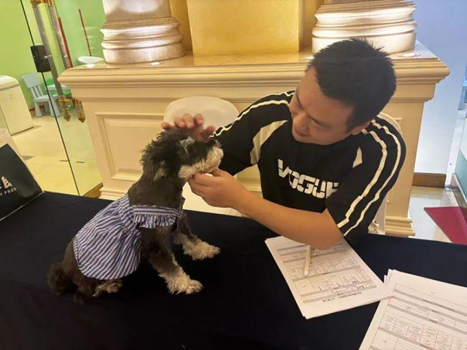 酒店推出“宠物陪睡”服务，律师：宠物若伤人，酒店全责