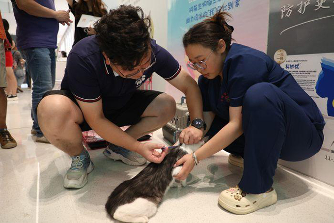 以爱之名！为7月3日救助的猫咪寻找一个温暖的家