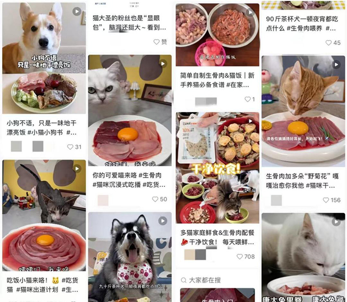 高标鲜粮上桌、生骨肉罐头出圈……宠物餐食迎“鲜”风口
