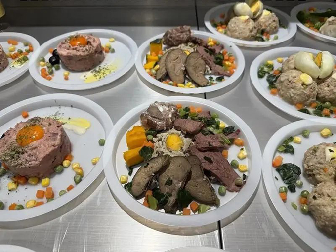 从泳池撒欢到麻辣烫自由，外滩宠物美食节也太会了！