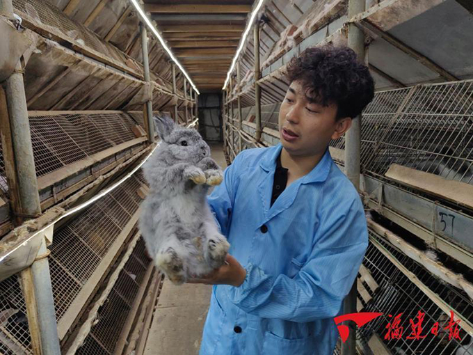 深读｜小萌宠撬动大市场 小品类做出大文章