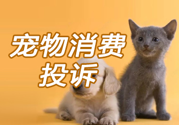 宠物及宠物用品投诉同比上升超200%，佛山消委会发布上半年投诉情况