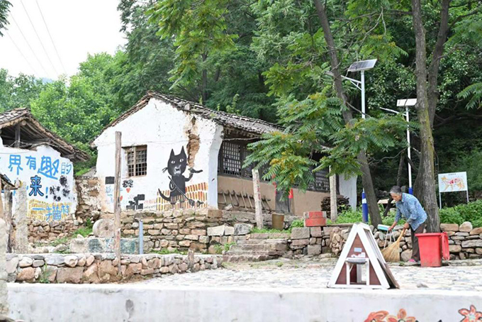 ​​“人搬走了，猫怎么办？” 他给200只猫“建”了座村