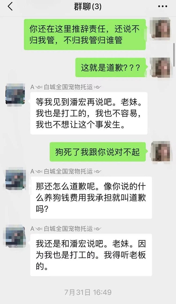 网红潘宏再涉宠物狗死亡风波，狗主人发帖遭网暴