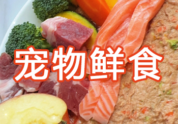 宠物鲜食直播间周销售额约60000元，大型犬宠物鲜食月费超千元