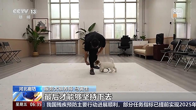 宠物服务招聘增速超72%，年轻人纷纷加入这一新兴行业