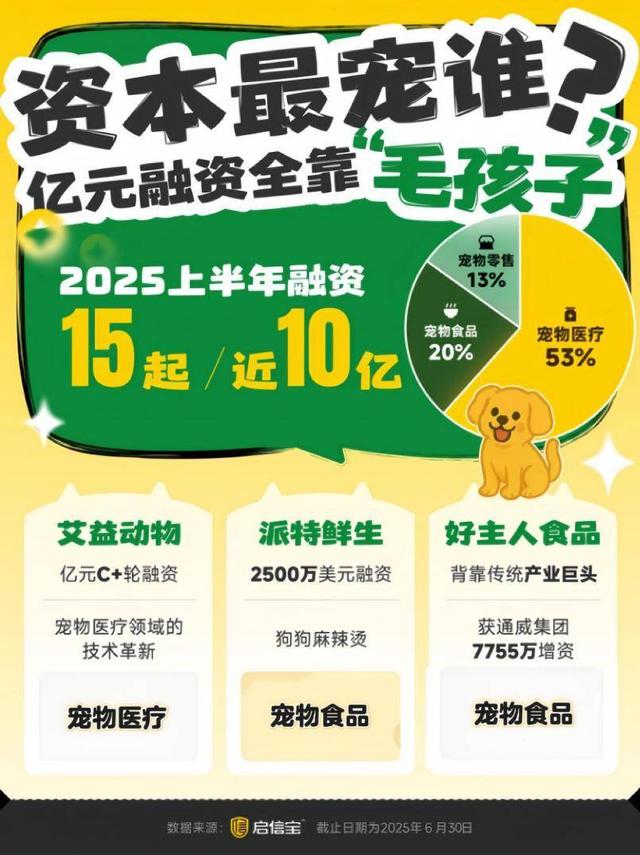 宠物行业报告：宠物摄影成“氪金”新赛道