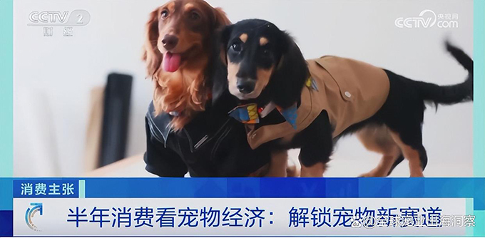 央视谈宠物经济爆发，12个宠物新赛道崛起