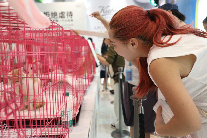 以爱之名！为7月3日救助的猫咪寻找一个温暖的家