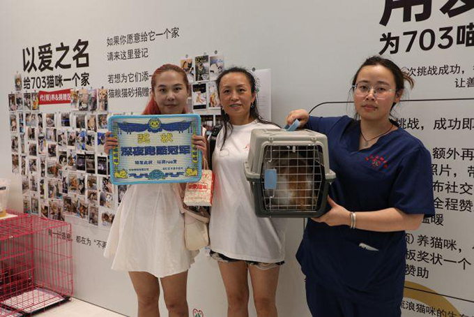 以爱之名！为7月3日救助的猫咪寻找一个温暖的家