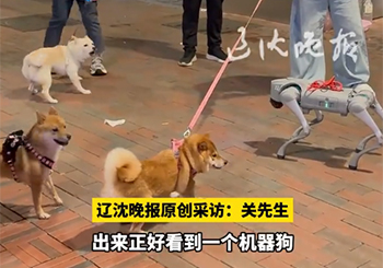 当机器狗遇上宠物犬，凭一己之力把它们全都吓跑了