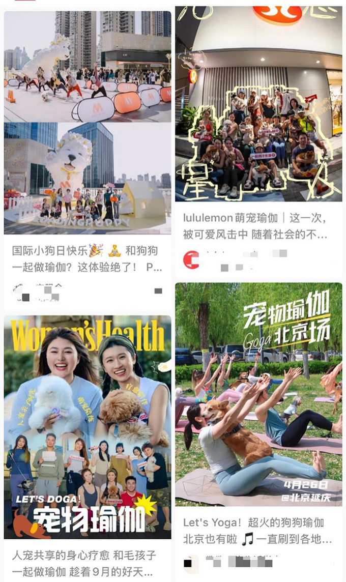 这届年轻人，流行把宠物送进健身房