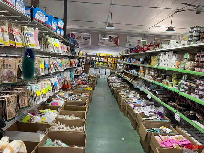 “东北星期宠”传言引关注，实探辽宁宠物市场
