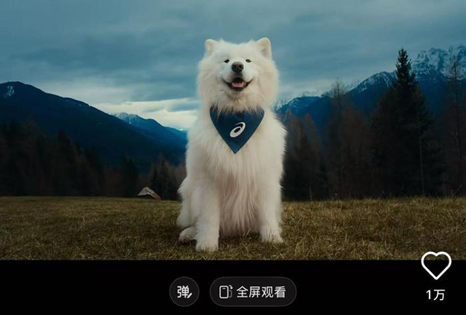 这届年轻人，流行把宠物送进健身房