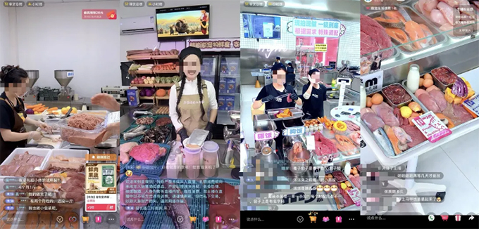 当宠物吃上新鲜便当 “宠物鲜食”正在成为行业“新”风口