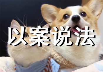 宠物狗被撞，主人索赔近万元获赔100元，法院解释原因